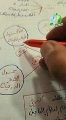 جميع المشاكل في الجسد سببها