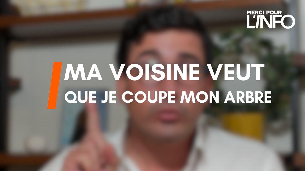 Merci Mathieu - Ma voisine exige que je coupe mon arbre