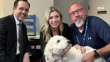 « Il est la clé dans cette affaire » : la micro-puce d'un chien permet d'identifier le coupable d'un meurtre