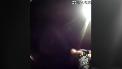 Rescate de un policía a un conductor atrapado en su coche sumergido en una piscina