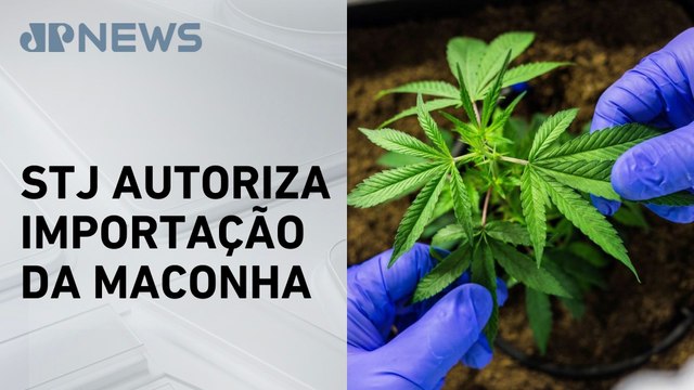 Superior Tribunal de Justiça libera cultivo de cannabis para fins medicinais