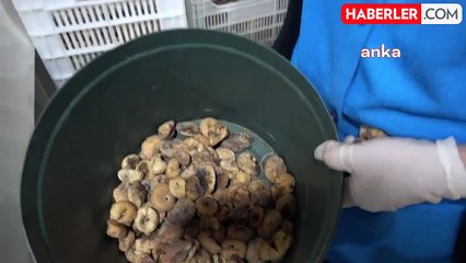 İncir Fiyatları Artıyor: Üretici Zafer Selek Durumu Değerlendirdi