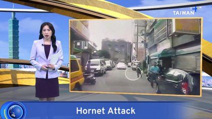 Volunteer Firefighter Dies During Hornet Nest Removal