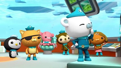 Octonauts - The Saltwater Crocodile _ Cartoons for Kids _ Underwater Sea Education