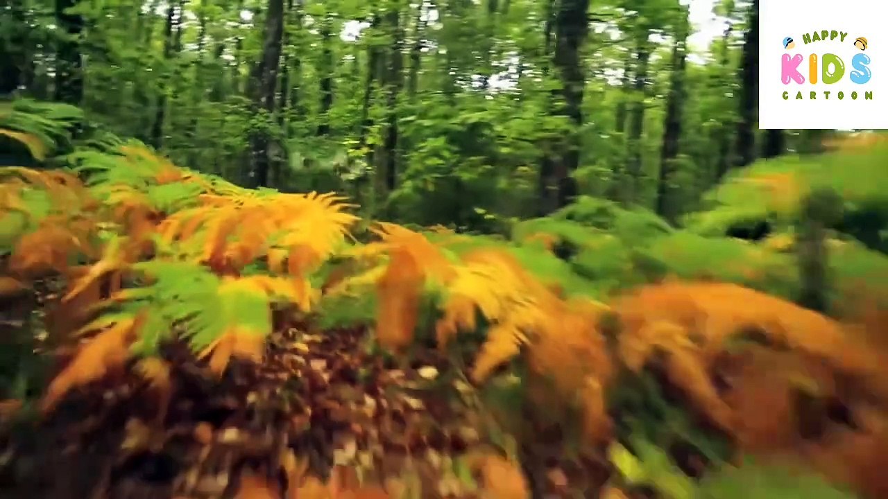 Kids entertainment comedy cartoon 🤣 😂 😆 😄 😅 video