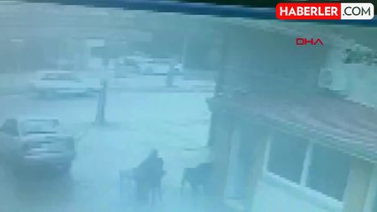 Adana'da kuzen cinayeti kamerada: Defalarca ateş edip kaçtı