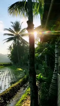 Pemandangan Yang Indah 3