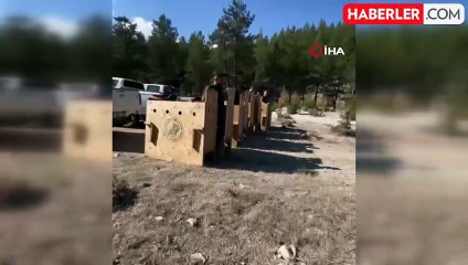Antalya'da 8 Dişi Alageyik Yeni Yaşam Alanlarına Nakledildi