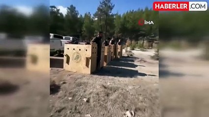 Antalya'da 8 Dişi Alageyik Yeni Yaşam Alanlarına Nakledildi