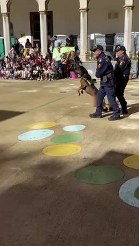 “Fermo, polizia!”, vigili sparano a salve in una scuola materna a Palermo: è una simulazione, ma i bambini scoppiano in lacrime