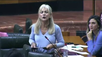 La consejera de Cultura promete "una maravilla de plan" del flamenco