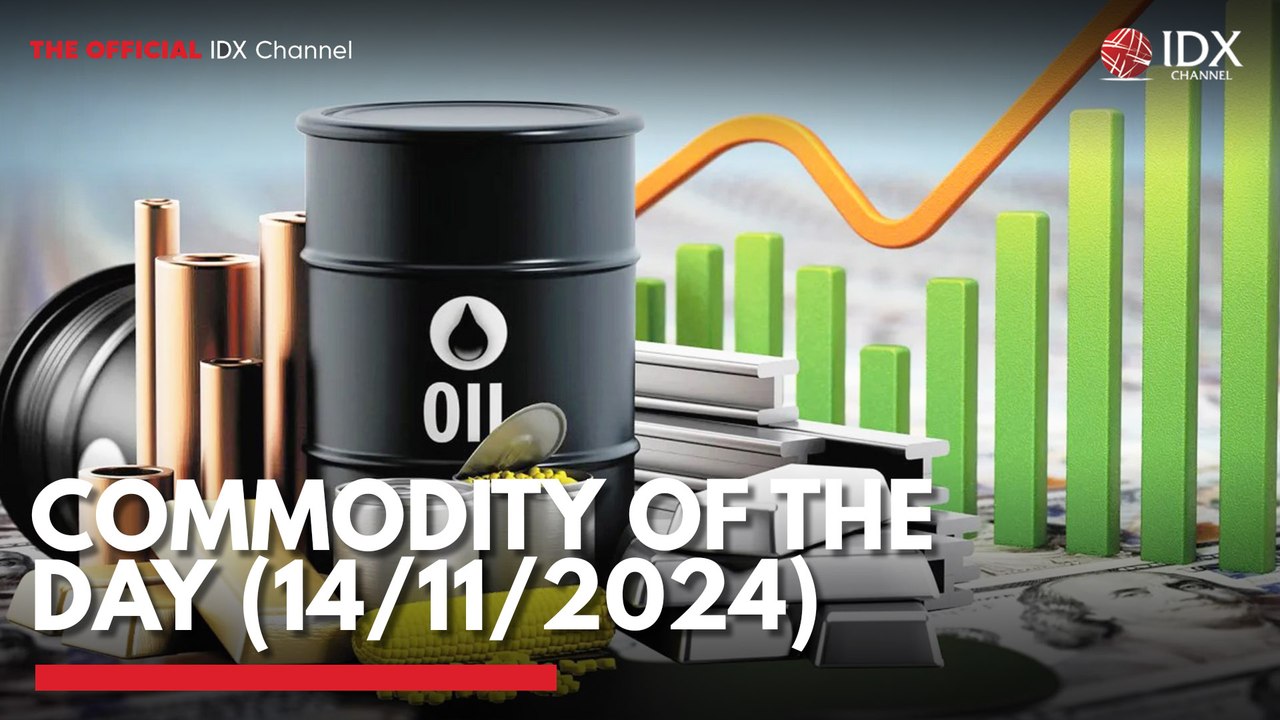 Commodity of the Day (14/11/2024)