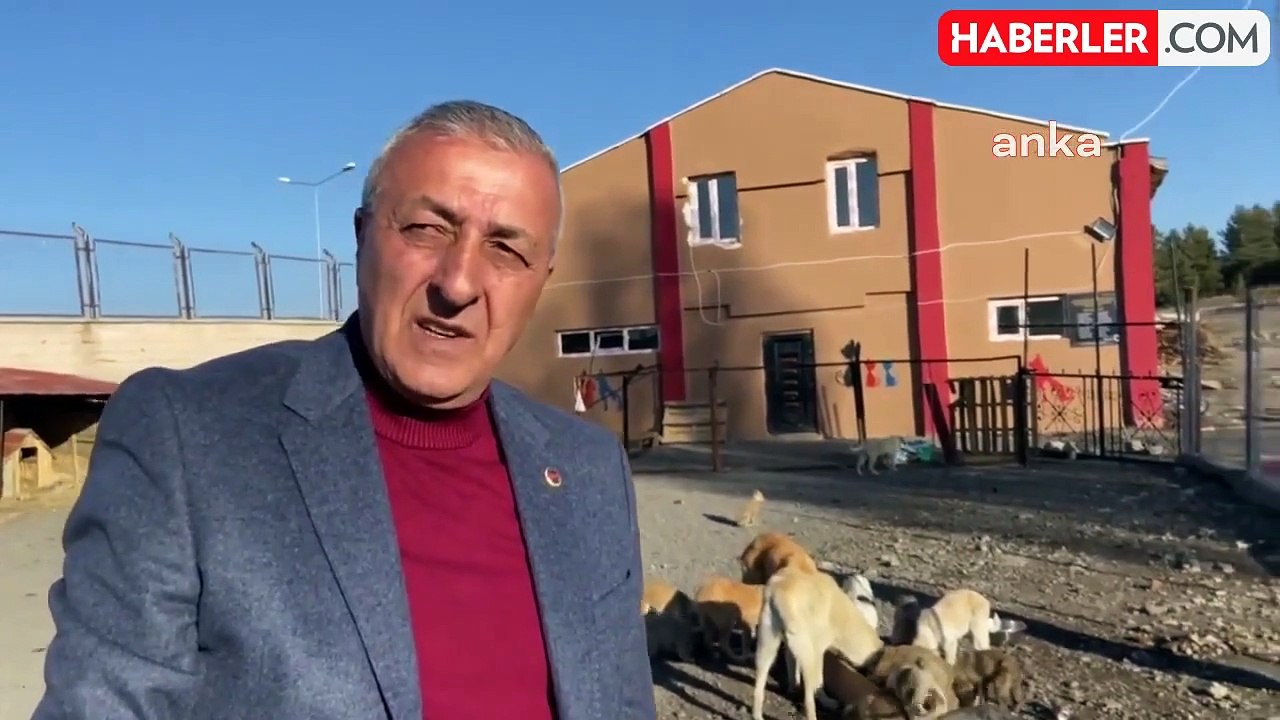 Göle Belediyesi Yeni Sokak Hayvanları Bakım Merkezi Açtı