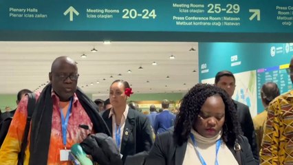 Argentina retira su delegación de la COP29