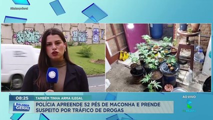 Polícia apreende 52 pés de maconha na região