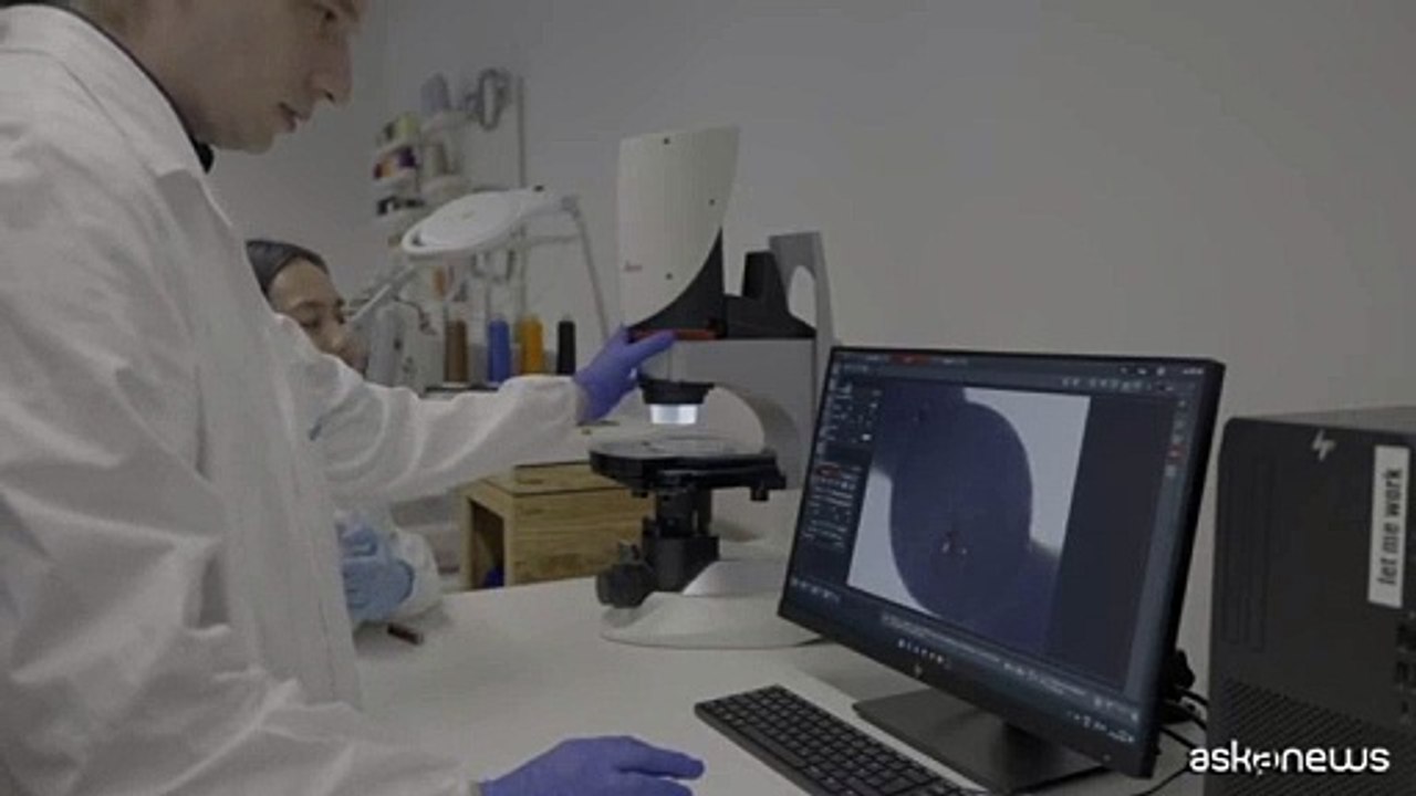 Flexibots, i micro robot smart per interventi medici nel corpo umano