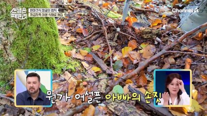 덴마크식 정글의 법칙! "혜원이는 가을에 독이 올라있어ㅋㅋ"예쁠 수록 독이 있는 버섯임을 알려주는 자연 교육!