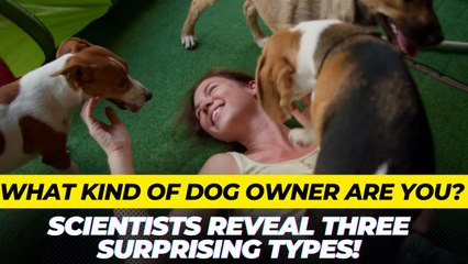 What Kind of Dog Owner Are You? Scientists Reveal Three Surprising Types!