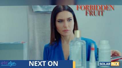 Tinitingnan ni Ender ang mga gamit ni Alihan ¦ Next on Forbidden Fruit Pinoy