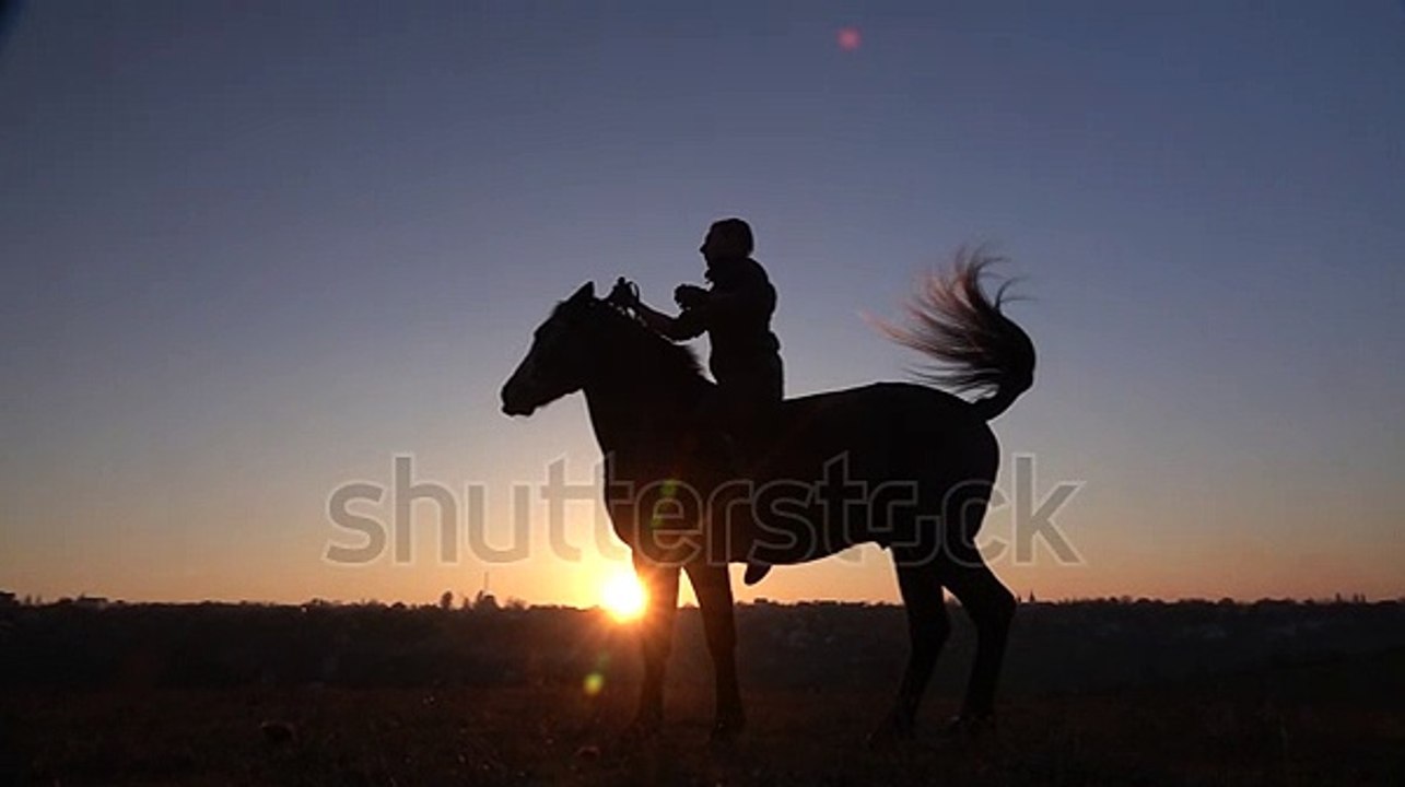 Horseman Sits On Horse Gives Him Stock Footage Video