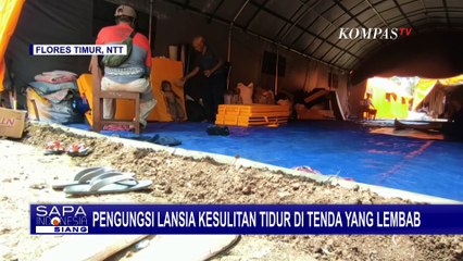 Terdampak Erupsi Gunung Lewotobi, Pengungsi Lansia Kesulitan Tidur di Tenda Lembab