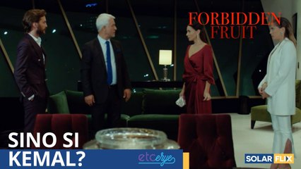 Kemal, sinabi kay Halit ang totoo ¦ Recap Ep 59 ¦ Forbidden Fruit Pinoy
