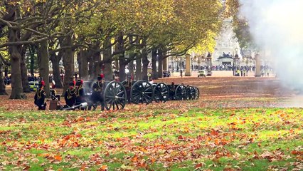 Gun salutes ring across London to mark King’s birthday