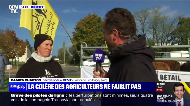 Pas de bétail contre des Rafale : la Confédération paysanne mobilise dans l'Ain contre l'accord du Mercosur