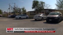 Solicitan descacharrización, fumigación y limpieza en la Esc. “Silvestre Flores” de Monclova