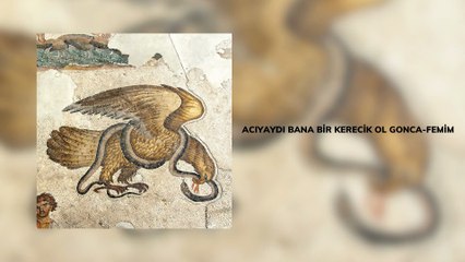 Çağlar Fidan - Acıyaydı Bana Bir Kerecik Ol Gonca-femim (Official Audio)