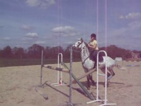 CSO haras de la roche