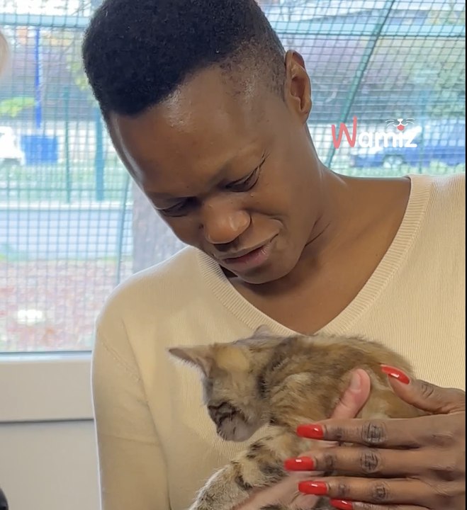 Après 3 ans de travaux, le tout nouveau refuge SPA de Gennevilliers ouvre au public