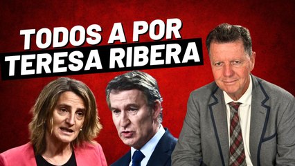 Alfonso Rojo: “Si Feijóo no va a por todas y tumba a Ribera en la UE, Sánchez le meará al PP en la chepa”