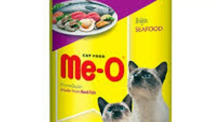 Chi Phi Nuoi Meo Trong 1 Thang