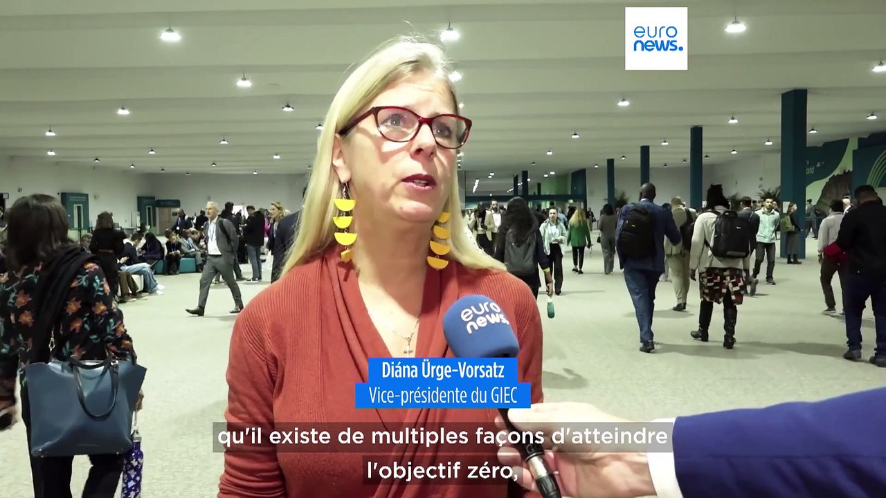 COP29 : l'objectif zéro carbone est-il réaliste ?
