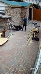 Lui il n'a pas de chance avec les échelles