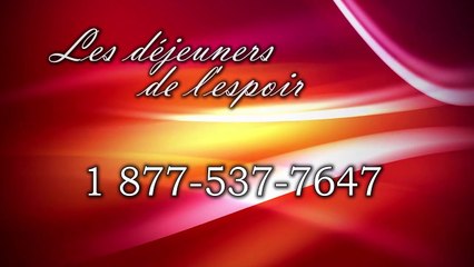 0285. Dans l'Église, les membres sont-ils tous égaux ?