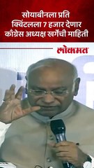 मविआचं सरकार सोयाबीनला चांगला दर आणि शेतकऱ्यांना बोनस देणार - खर्गे