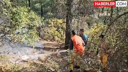 Kahramanmaraş'ta Orman Yangınına Müdahale Başladı