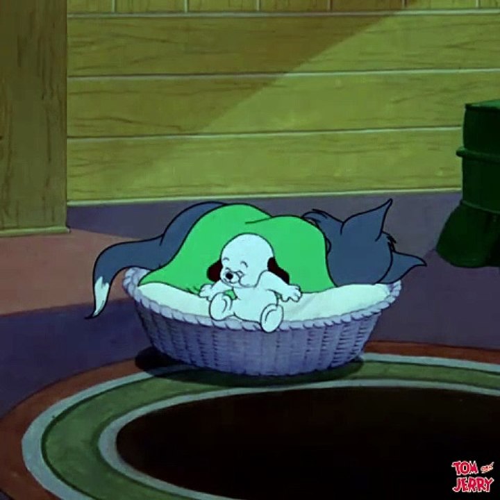 Tom And Jerry 01