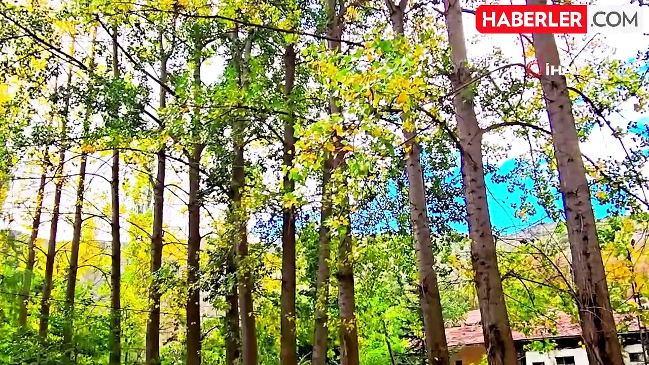 Tokat'ın Almus ilçesindeki Harami Yaylası Sonbaharda Bir Cennet Gibi