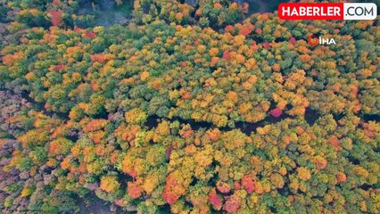 Kocaeli Ormanlarında Sonbahar Renkleri Büyülüyor