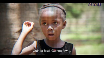 On Becoming a Guinea Fowl - Official Trailer