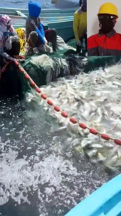 صيد  السمك بحري ماشاء الله 💥🚢⚓