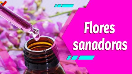 Buena Vibra | ¿En qué consiste el tratamiento Flores de Bach?