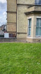 Person quickly climbs the side of a building!