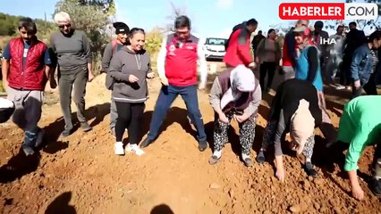 Ula Sarımsağında İmece Usulü Üretim Projesi Başladı