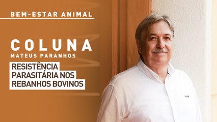 Bem-estar Animal: resistência parasitária nos rebanhos bovinos