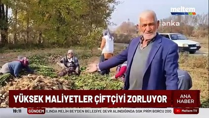 Meltem TV Ana Haberi 33 Bülent Tapıcı - 14.11.2024