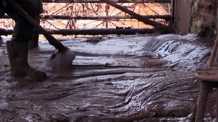 Justicia brasileña absuelve a Samarco, Vale y BHP por colapso de represa en 2015